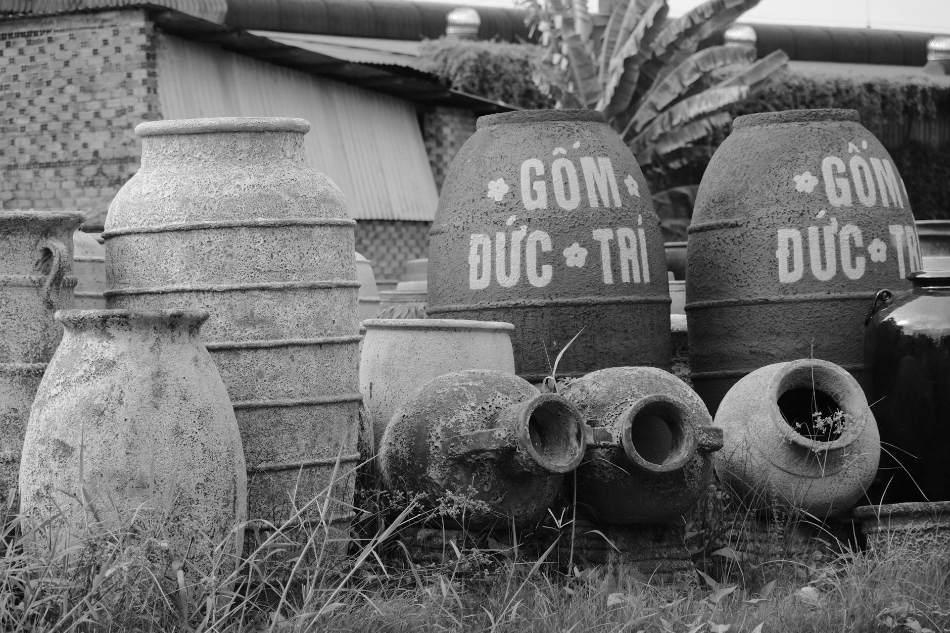 Bộ dụng cụ xóc đĩa gồm bát, đĩa và 4 đồng vị hai mặt màu