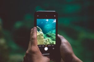 Người chơi trải nghiệm game bắn cá trên điện thoại với giao diện đại dương sinh động